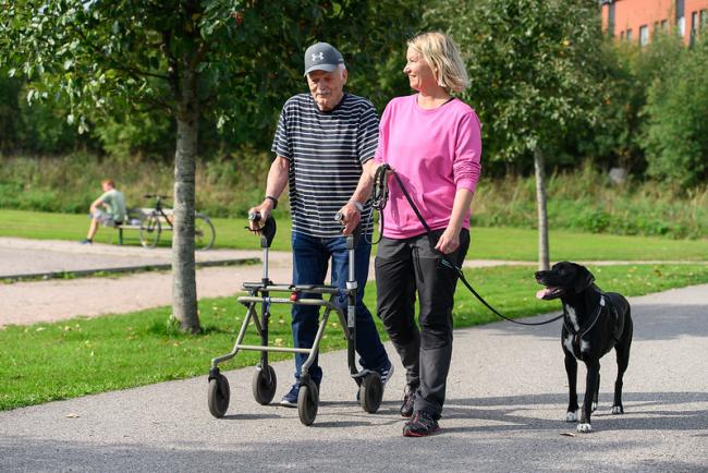 Ulkoiluystävä koirineen ulkoilemassa ikäihmisen kanssa