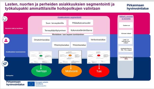 Lasten, nuorten ja perheiden asiakkuuksien segmentointi suun terveydenhuollossa ja työkalut hoitopolkujen valintaan