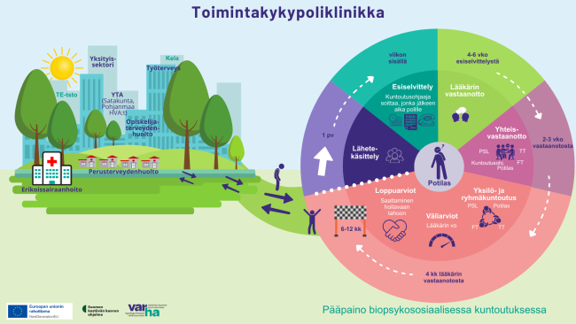 Toimintakykypoliklinikan potilaan kuntoutusprosessi