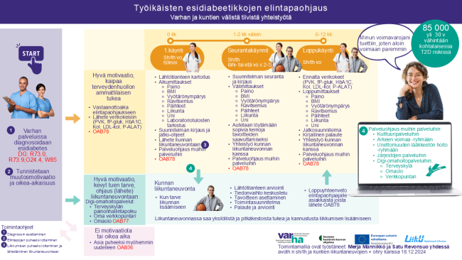 Elintapaohjaus-liikuntaneuvonnan toimintamallin kuvaus