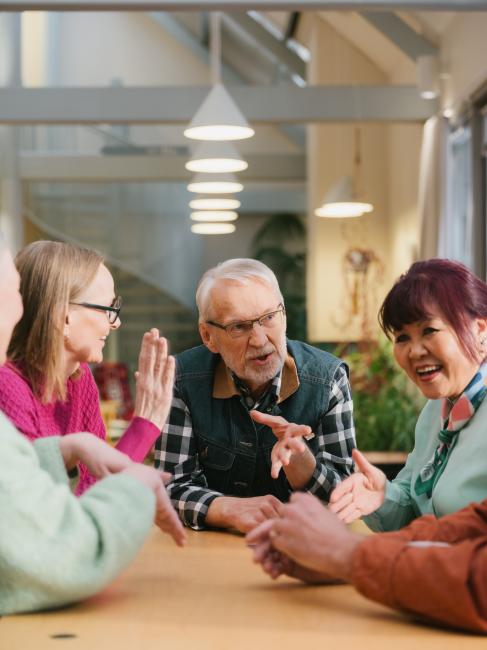 Ikääntyneiden vertaistukiryhmät