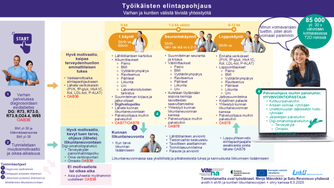 Varhan elintapaohjaus-liikuntaneuvonnan toimintamallin kuvaus
