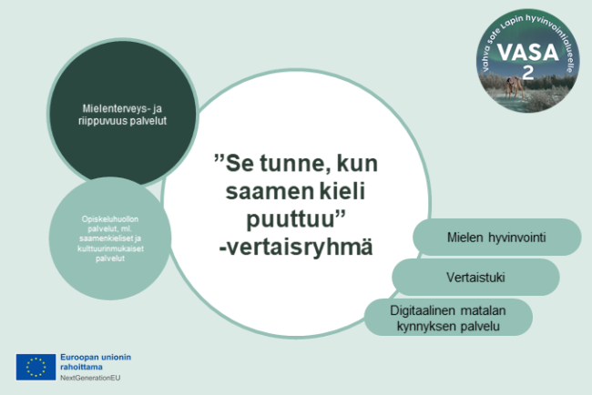 "Se tunne, kun saamen kieli puuttuu" -vertaisryhmän kansikuva