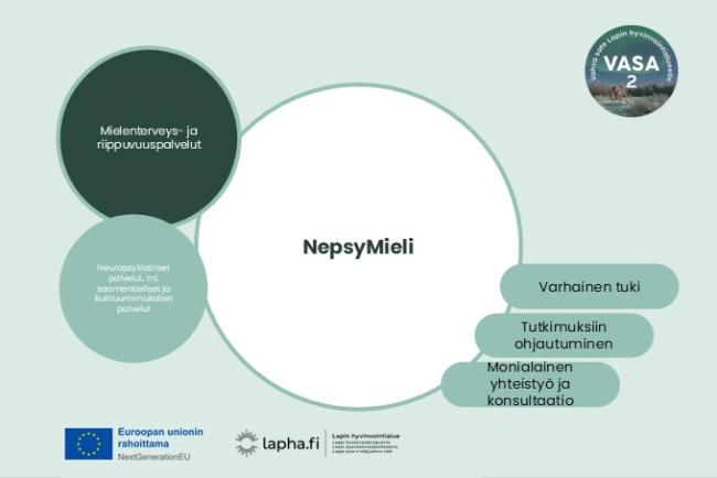 NepsyMieli, Innokylä VASA 2- kansikuva