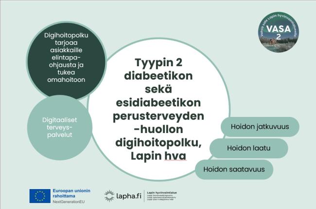 Tyypin 2 diabetes digihoitopolku