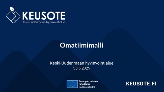 Omatiimimalli