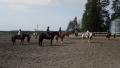 viikottain on sosiaalipedagogista hevostoimintaa Turkan Ratsurinteellä