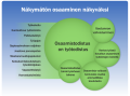 Kuinka ja missä osaamistodistuksella voidaan tehdä näkymätön osaaminen näkyväksi