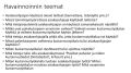 Kuva 9. Lista kysymyksiä, joiden avulla kerättiin ymmärrystä asiakasohjaajien työnkuvasta ja sovelluksen käyttötarpeesta ja -ympäristöstä