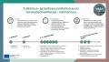 Tutkimus- ja hoitosuunnitelman kirjaamisen osaamisen vahvistamisen valmennuksen mallinnus