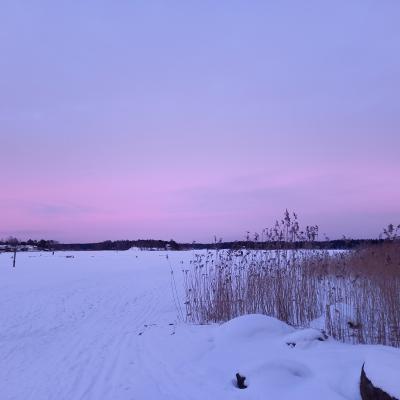 Käyttäjän Saara.Teinilä profiilikuva.