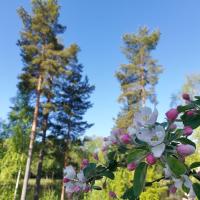 Käyttäjän Hanna.Ahokas profiilikuva.